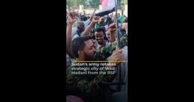 Celebrations in Sudan as army retakes key city of Wad Madani from RSF | AJ#shorts