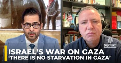 Dan Perry: ‘There is no starvation in Gaza’