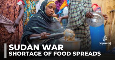 Famine spreading in war-torn Sudan, UN-backed report says