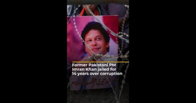 Former Pakistani PM Imran Khan jailed for 14 years over corruption | AJ #shorts