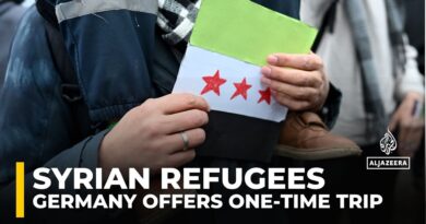 Germany considers one-time trips for Syrian refugees without losing immigration status