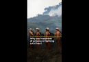 Hundreds of prisoners fighting LA fires for barely a dollar a day | AJ #shorts