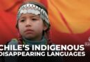 Indigenous languages under threat as Chileans struggle to keep traditions alive