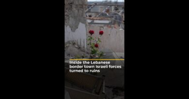 Inside the Lebanese border town Israeli forces turned to ruins | AJ #shorts