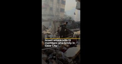 Israeli attack kills 13 members of a family in Gaza City | AJ#shorts