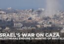 Israel’s war on Gaza: Palestinians endure 15 months of brutality