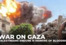 Israel’s war on Gaza: Palestinians endure 15 months of bloodshed