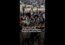 Large crowds of displaced Palestinians head to northern Gaza | AJ#shorts