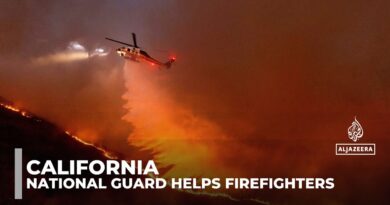 Los Angeles wildfires: California National Guard to assist fire crews