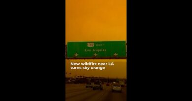 New wildfire near LA turns sky orange | AJ#shorts