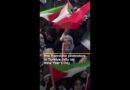 Pro-Palestine protesters in Turkiye rally on New Year’s Day | AJ #shorts