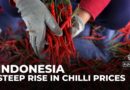 Rising chilli prices in Indonesia impact restaurants and farmers