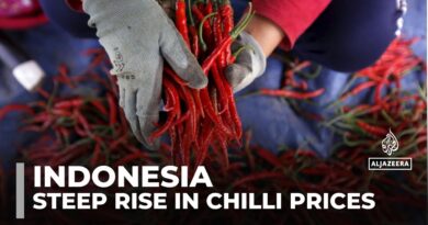 Rising chilli prices in Indonesia impact restaurants and farmers