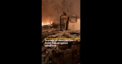 Scenes of destruction from Los Angeles wildfires | AJ#shorts