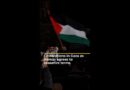 See the scenes of celebration in Gaza as Hamas agrees to ceasefire terms | #AJ shorts