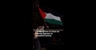 See the scenes of celebration in Gaza as Hamas agrees to ceasefire terms | #AJ shorts