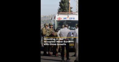 Shooting in the occupied West Bank kills three Israelis | AJ #shorts