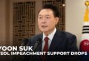 South Korea politics: Poll suggests support for impeachment is waning