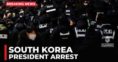 South Korea standoff: Authorities launch second attempt to arrest president