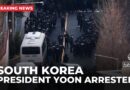 South Korea’s President Yoon arrested after ill-fated martial law attempt