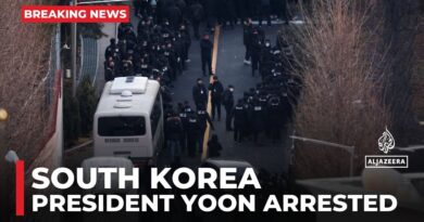 South Korea’s President Yoon arrested after ill-fated martial law attempt