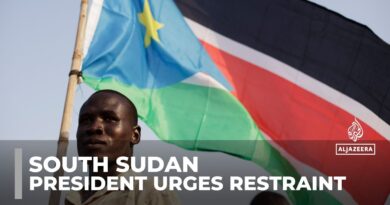 South Sudan protest: President calls for calm after anti-Sudanese unrest