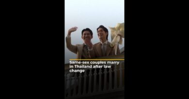 Thai same-sex couples marry as equality law takes effect | AJ #shorts