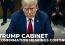 Trump cabinet appointments: Confirmation hearings continue