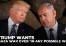 Trump wants Gaza war over ‘in any possible way’: Analysis