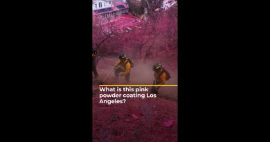 What is this pink powder coating Los Angeles? | AJ#shorts