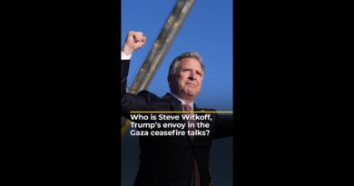 Who is Steve Witkoff, Trump’s envoy in the Gaza ceasefire talks? | AJ #shorts