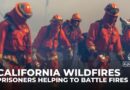 Why are California inmates deployed to help fight LA wildfires?