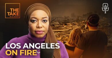 Why is Los Angeles on fire? | The Take