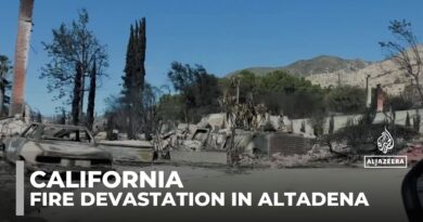 Wildfire destruction: Residents of Altadena suffer enormous losses