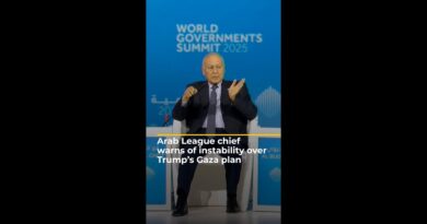 Arab League chief warns of regional instability over Trump’s Gaza plan | AJ #shorts