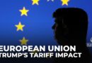 Donald Trump’s tariff threats dominated European Union meeting