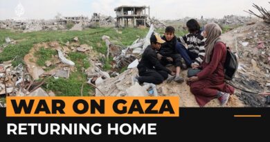 Palestinian mother returns to destroyed home in North Gaza | Al Jazeera Newsfeed