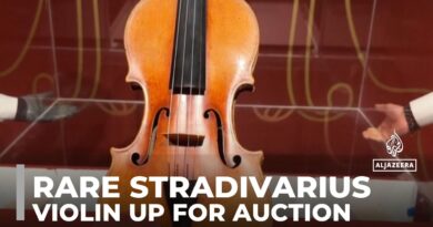 Rare Stradivarius violin up for auction, could break $15.9m record