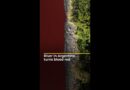 River in Argentina turns blood red | AJ #shots