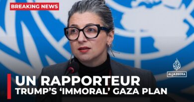 ‘Shocked’: UN rapporteur slams international community for ignoring Israeli genocide in Gaza