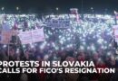 Slovakia anti-govt protests: Prime minister accused of shifting closer to Russia