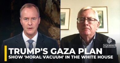 Trump’s Gaza remarks show ‘moral vacuum’ in the White House, says former Irish diplomat