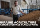 Ukraine agriculture: Conflict with Russia has created a labour shortage