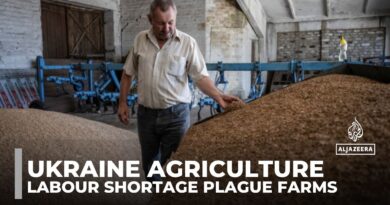 Ukraine agriculture: Conflict with Russia has created a labour shortage