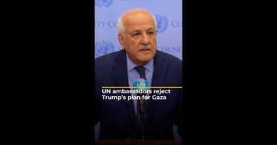 UN ambassadors reject Trump’s plan to take over Gaza | AJ#shorts