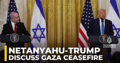 US President Trump meets Israeli PM Netanyahu in Washington