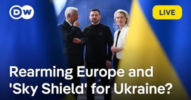 A European plan for Ukraine? EU Chief Ursula von der Leyen about first 100-days of second mandate