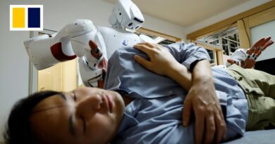 Ageing Japan turns to AI robots to care for the elderly