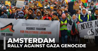 Amsterdam antiracism protesters express solidarity with Palestinians