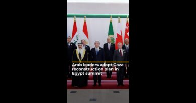 Arab leaders adopt Gaza reconstruction plan in Egypt summit | AJ #shorts